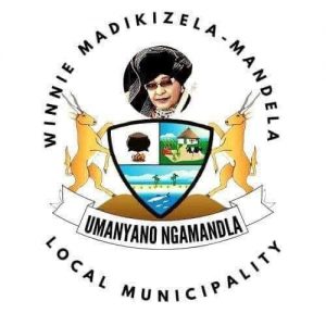 Winnie Madikizela Finance Internships
