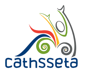 CATHSSETA: Internships 2021