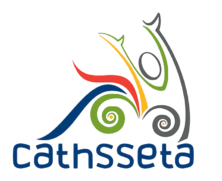 You are currently viewing CATHSSETA: Internships 2021
