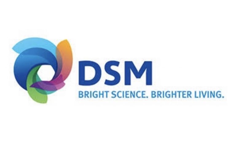 DSM, DSM Nutrional Products South Africa (Pty) Ltd, DSM: HR Graduate Internship 2021, DSM: Analytical Chemistry In-Service Training, Gauteng Internships, South African Graduates Internships, South African In-Service Training
