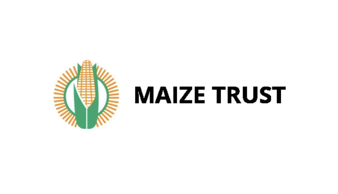 Maize Trust: Bursaries 2022 | South African Bursaries