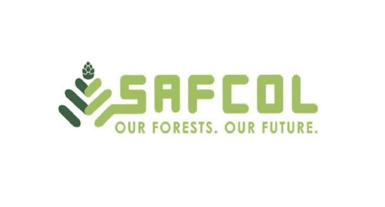 South African Forestry Company Limited (SAFCOL), South African Learnerships, Mpumalanga Learnerships, South African Forestry Company Limited (SAFCOL): Silviculture Learnerships 2022