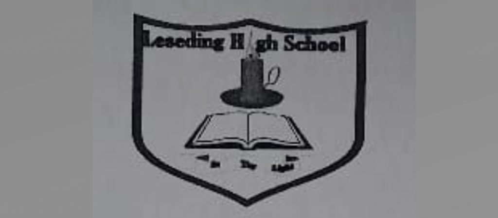 Leseding High School, South African Jobs, South African Teaching Jobs, Limpopo Jobs, Leseding High: Teaching Post