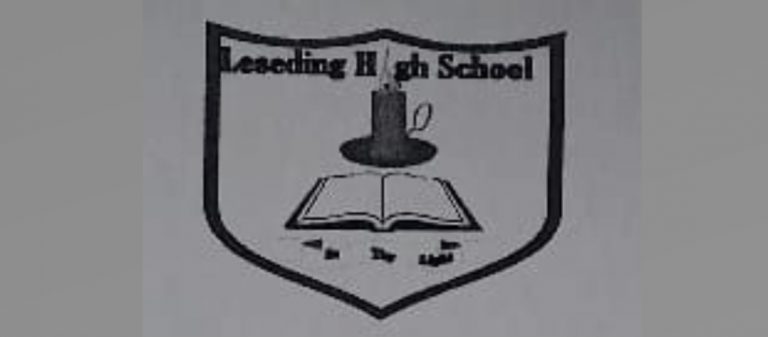 Leseding High School, South African Jobs, South African Teaching Jobs, Limpopo Jobs, Leseding High: Teaching Post