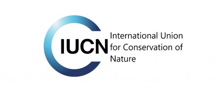 International Union for Conservation of Nature (IUCN), South African Graduates Internships, Gauteng Internships, International Union for Conservation of Nature (IUCN): Internships 2022