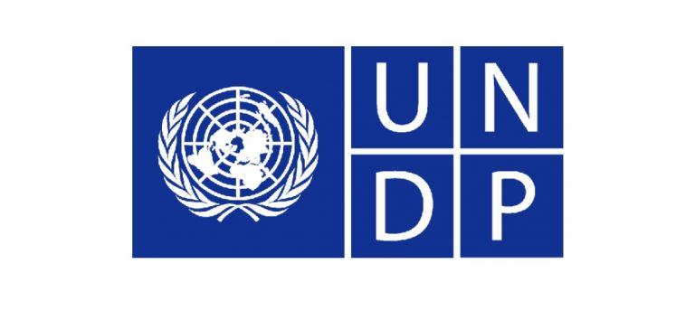 United Nations Development Programme (UNDP), South African Graduates Internships, South African Internships, Gauteng Internships, UNDP: Communications Internships 2022