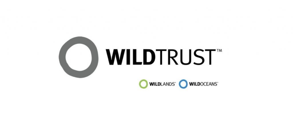 WILDTRUST, South African Graduates Internships, South African Internships, KwaZulu-Natal Internships, WILDTRUST: YES Programmes 2022