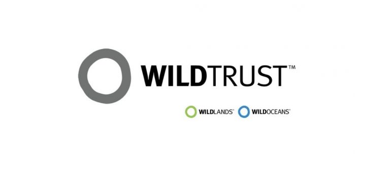WILDTRUST, South African Graduates Internships, South African Internships, KwaZulu-Natal Internships, WILDTRUST: YES Programmes 2022