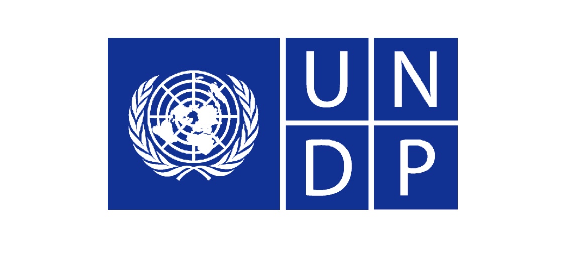 Read more about the article UNDP: Internships 2022