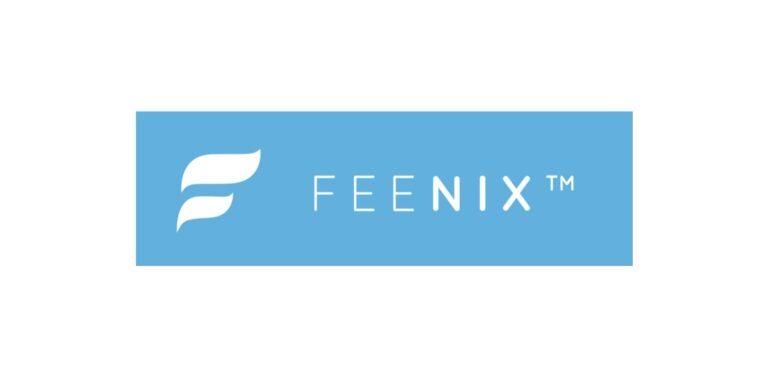 Feenix, South African Students Bursaries, South African Bursaries, Feenix: Debt Bursaries 2022