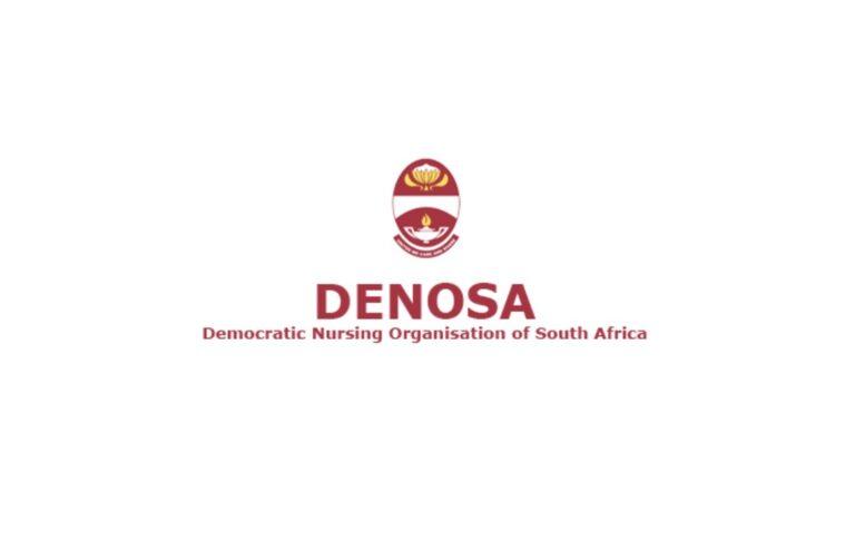 Democratic Nursing Organisation of South Africa (DENOSA), South African Students Bursaries, DENOSA: Bursaries 2023