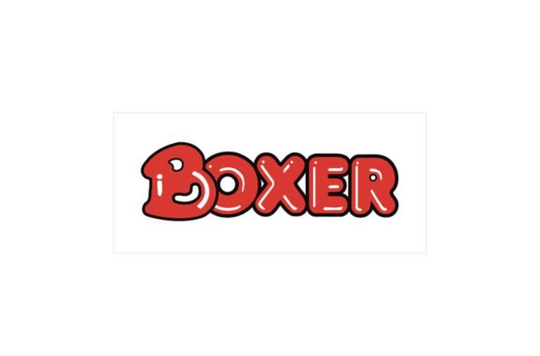Boxer Superstores, South African Graduates Jobs, South African Jobs, KwaZulu-Natal Jobs, South African Graduates Traineeships, KwaZulu-Natal Traineeships, Boxer Superstores: Operations Graduate Traineeships 2023, Boxer Superstores: IR Officer