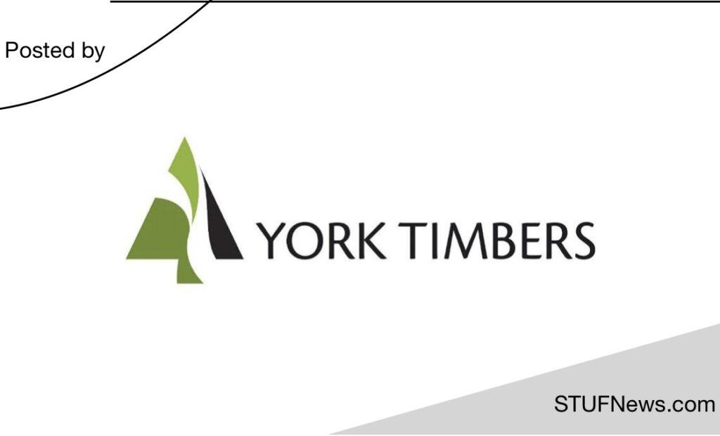 York Timbers, South African Graduates Internships, Limpopo Internships, Gauteng Internships, North West Internships, Mpumalanga Internships, Free State Internships, KwaZulu-Natal Internships, Eastern Cape Internships, Northern Cape Internships, Western Cape Internships, York Timbers: Internships 2023 / 2024
