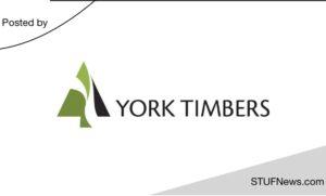 York Timbers: Internships 2023 / 2024