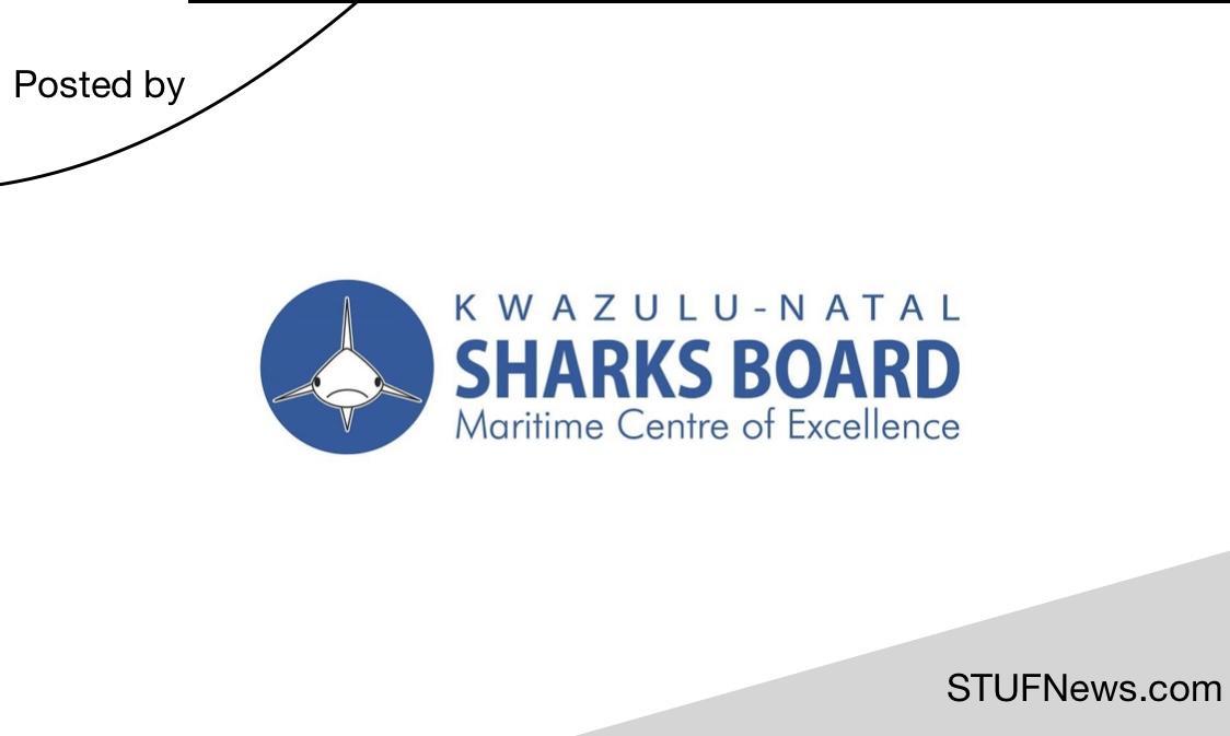 Read more about the article KwaZulu-Natal Sharks Board: Internships 2023 / 2024