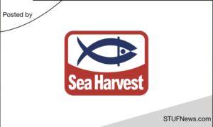 Sea Harvest: Graduate Programme 2024 / 2025