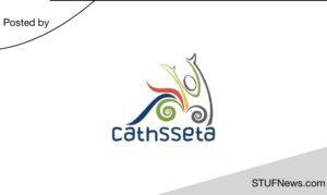 CATHSSETA: Graduate Internships 2024 / 2025