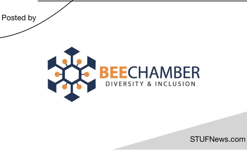 BEE Chamber, South African Internships, Gauteng Internships, BEE Chamber: YES Internships 2023 / 2024