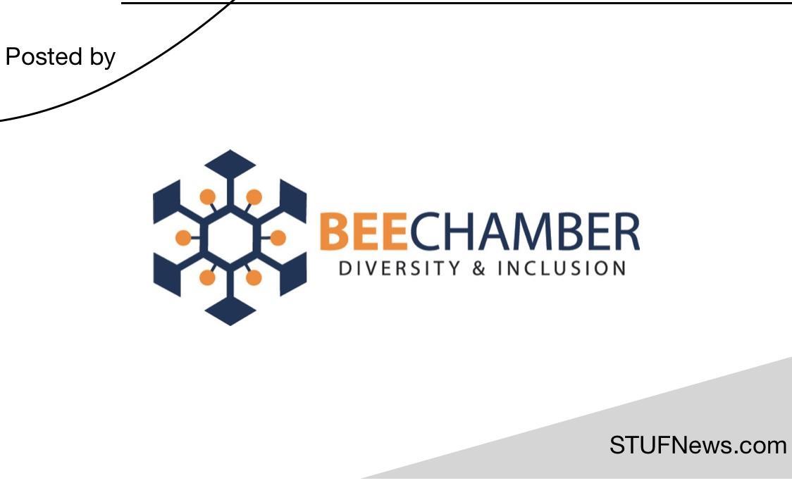 BEE Chamber YES Internships 2023 / 2024 SA Internships