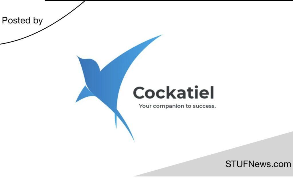 Cockatiel, South African Graduates Internships, Gauteng Internships, Cockatiel: SHEQ Internships 2023 / 2024
