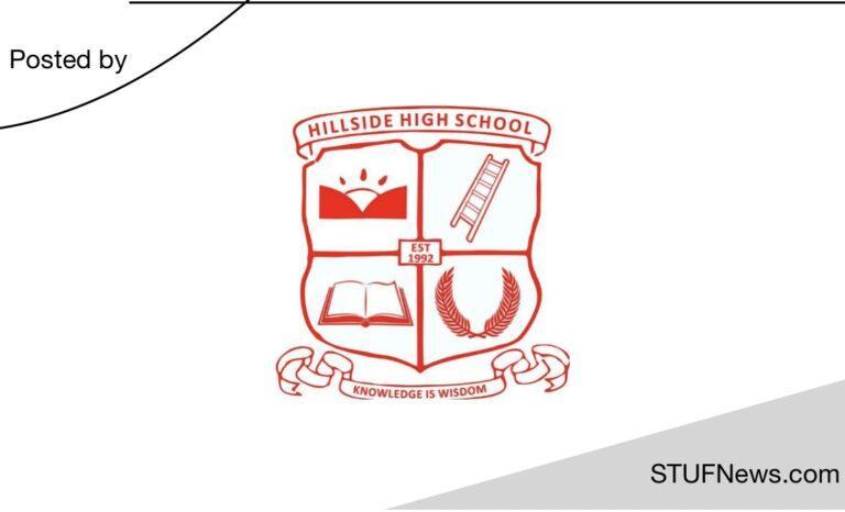 Hillside Technical High School, South African Jobs, Eastern Cape Jobs, Hillside Technical High: Educators