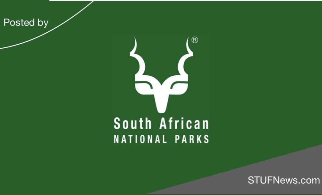 South African National Parks (SANParks), South African Graduates Internships, Western Cape Internships, Gauteng Internships, South African Students Bursaries, SANParks: Graduate Internships 2023 / 2024, SANParks: Electrical Engineering Internships 2023-2025, SANParks: Librarian Internships 2023 / 2024, South African National Parks (SANParks): Bursaries 2024, SANParks: HR Internships 2024 / 2025