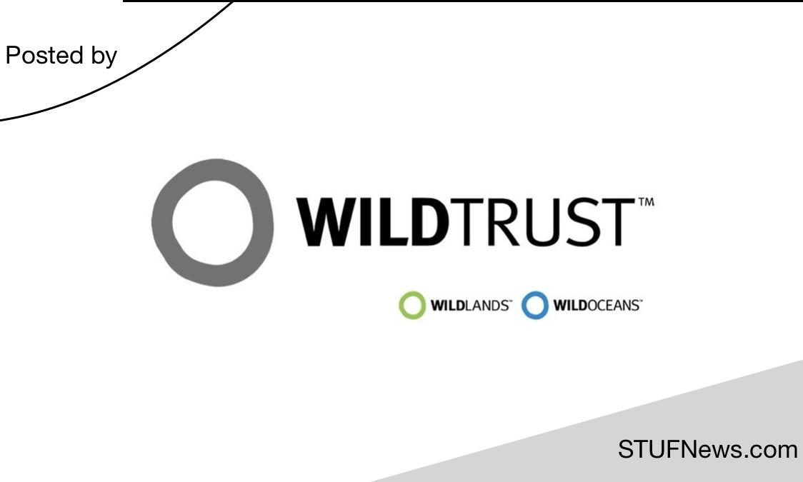You are currently viewing WILDTRUST: YES Programme 2023 / 2024