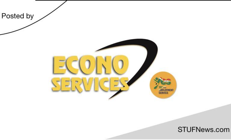 EconoBEE, South African Internships, South African Learnerships, Gauteng Learnerships, Gauteng Internships, EconoBEE: YES Programme 2023 / 2024