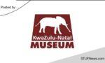 KwaZulu-Natal Museum: Internships 2023 / 2024