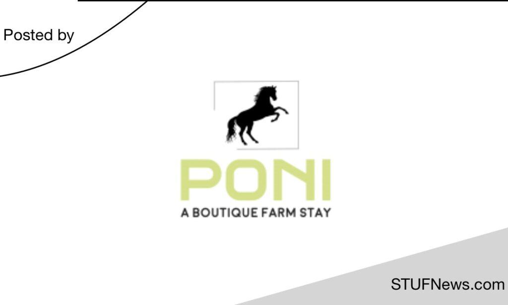 Poni Boutique, South African Graduates Internships, South African Students Internships, Eastern Cape Internships, Poni Boutique: Internships 2023 / 2024