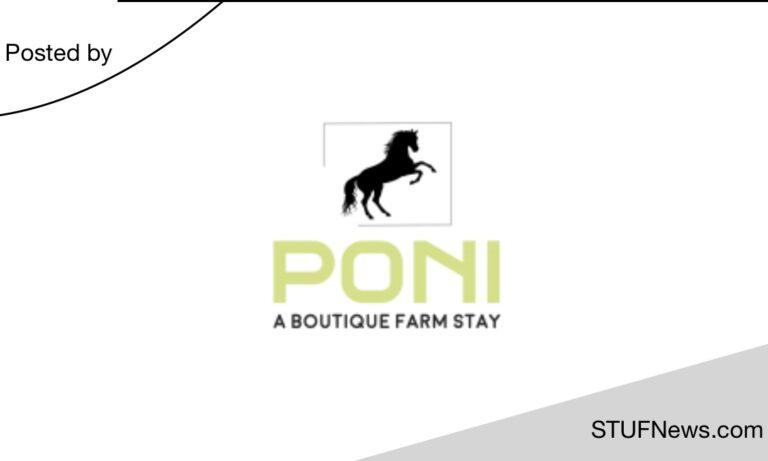 Poni Boutique, South African Graduates Internships, South African Students Internships, Eastern Cape Internships, Poni Boutique: Internships 2023 / 2024