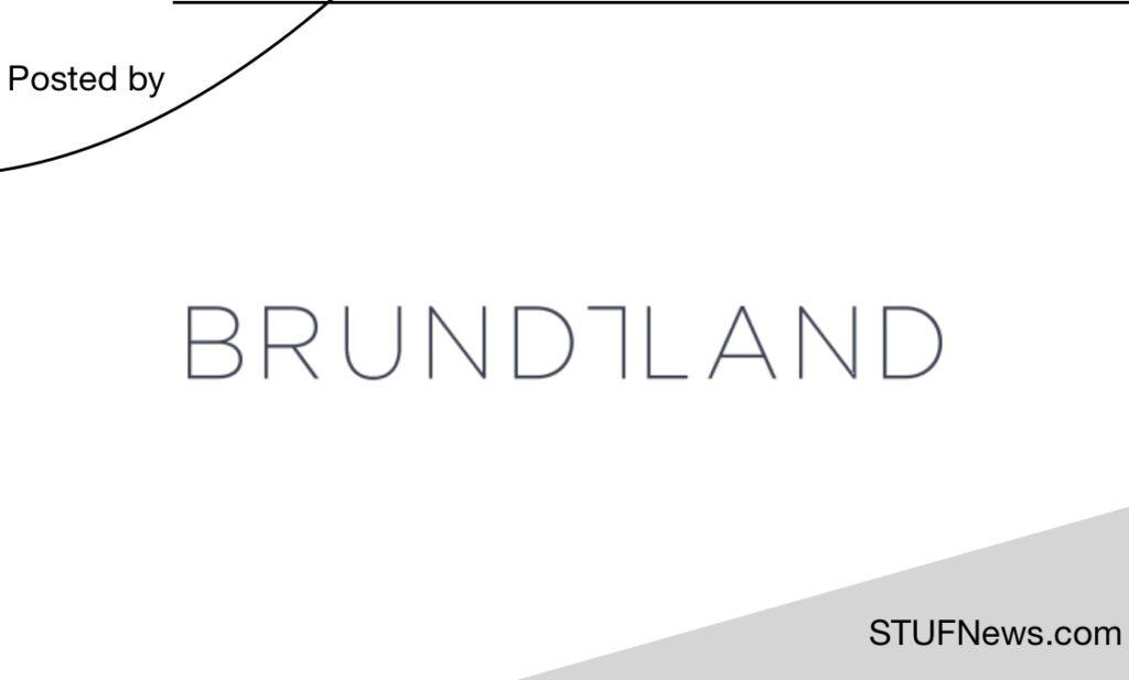 Brundtland Consulting, South African Graduates Internships, Gauteng Internships, Brundtland: Sustainability Consulting Internships 2023