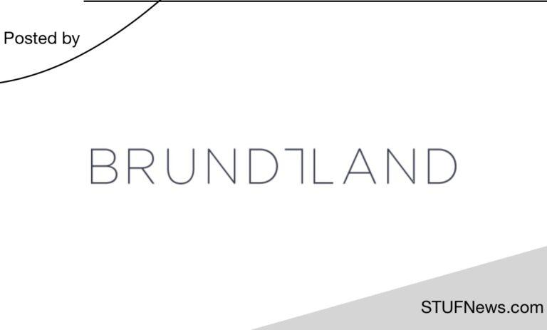 Brundtland Consulting, South African Graduates Internships, Gauteng Internships, Brundtland: Sustainability Consulting Internships 2023