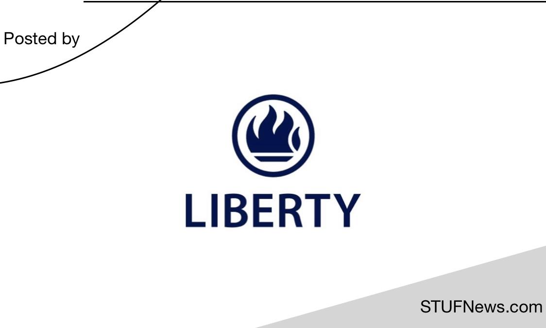 Read more about the article Liberty Group: Bursaries 2024