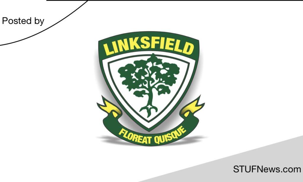 Linksfield Primary School, South African Graduates Jobs, Gauteng Jobs, Linksfield Primary School: Teacher