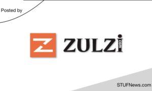 Zulzi: Graduate Internships 2023 / 2024