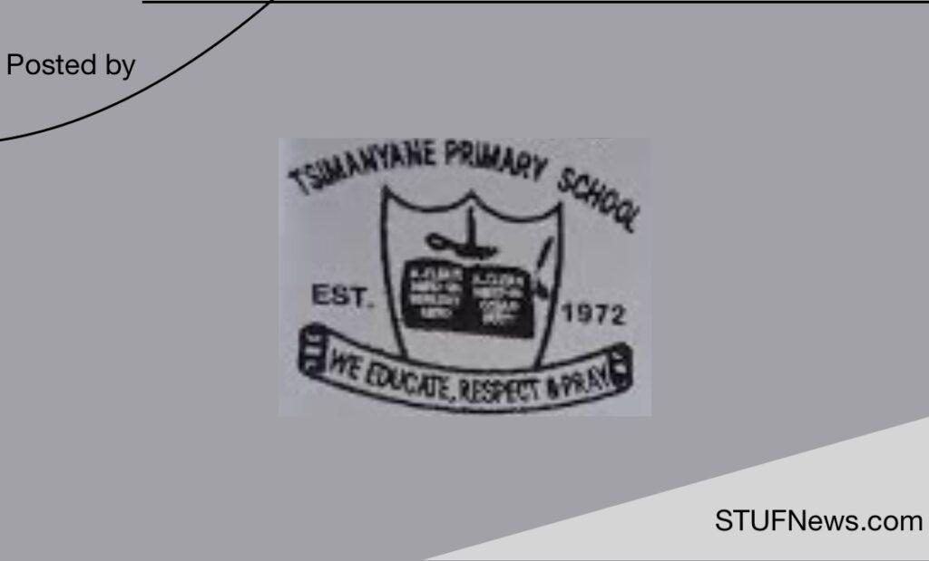 Tsimanyane Primary School, South African Graduates Jobs, South African Jobs, Limpopo Jobs, Tsimanyane Primary School: Educator