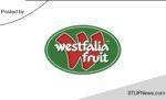 Westfalia Fruit: Accelerated Graduates Programme 2023 / 2024