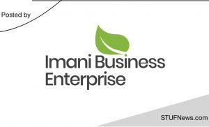 Imani Business Enterprise: Internships 2024