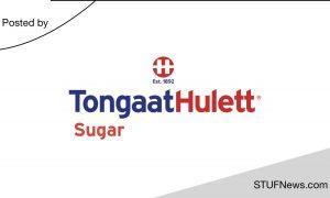 Tongaat Hulett: Graduate Internships 2024