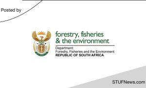 DFFE: Graduate Internships 2024-2026